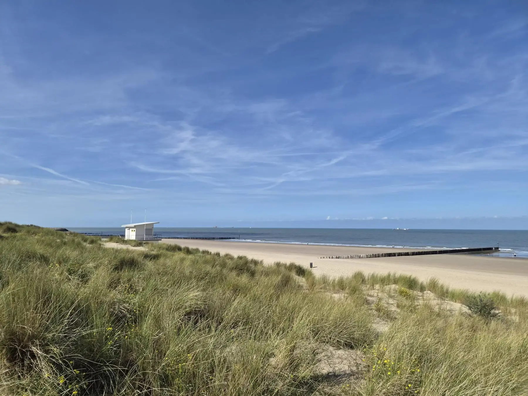 Duinen met helmgras, het brede strand en de Noordzee bij Cadzand-Bad