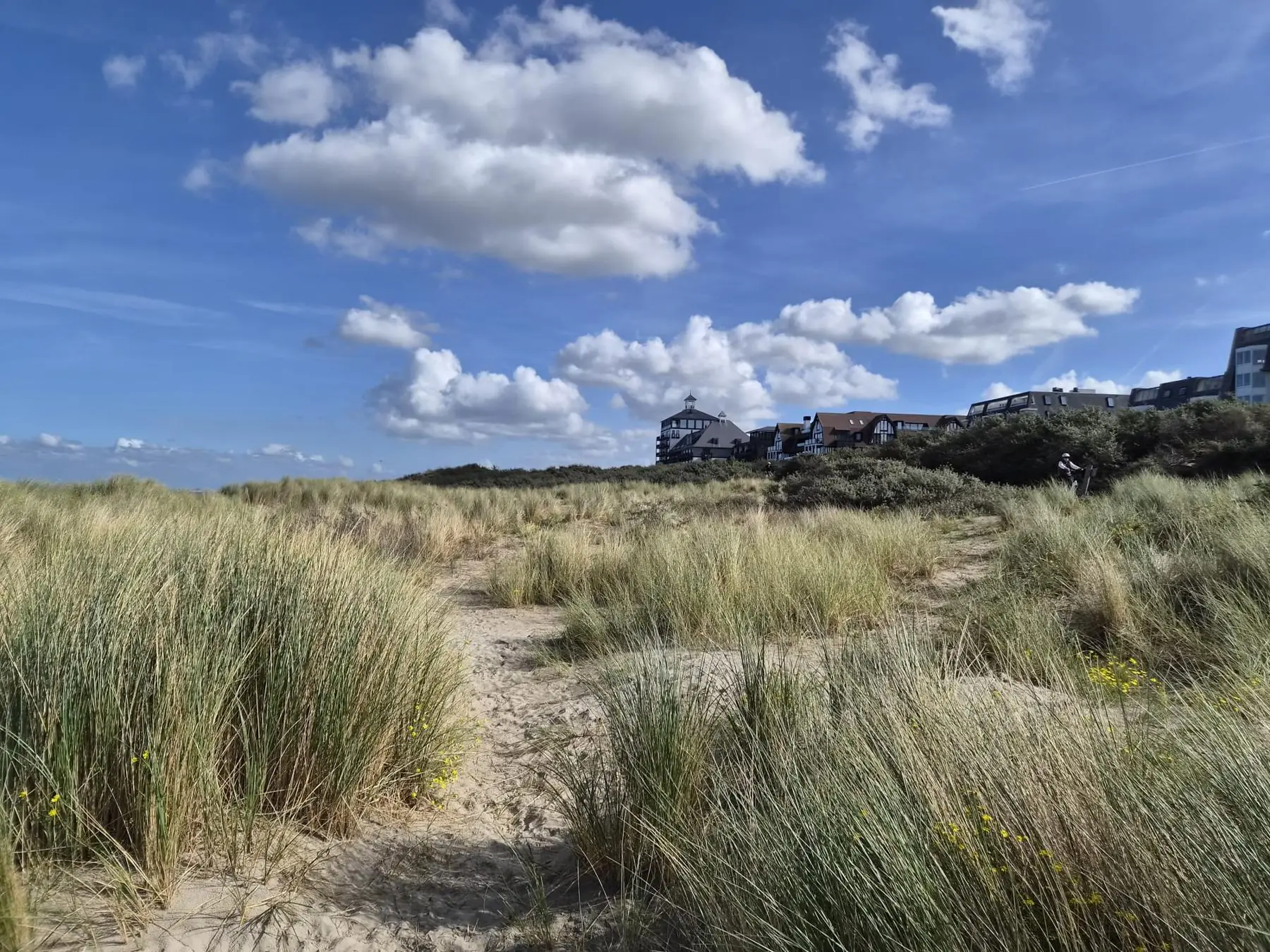 Duinpad met helmgras en wolken